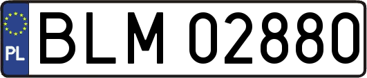 BLM02880