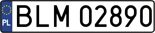 BLM02890