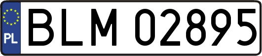 BLM02895