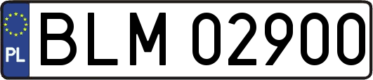 BLM02900
