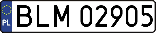 BLM02905