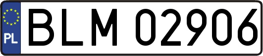 BLM02906