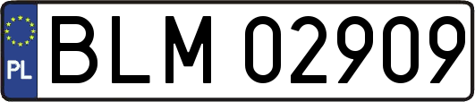 BLM02909
