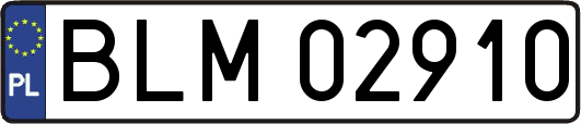 BLM02910