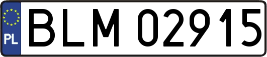 BLM02915