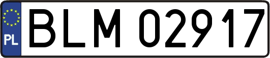 BLM02917
