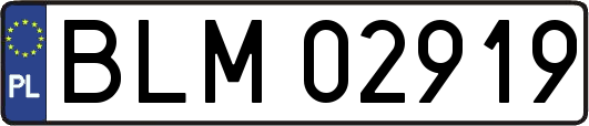 BLM02919