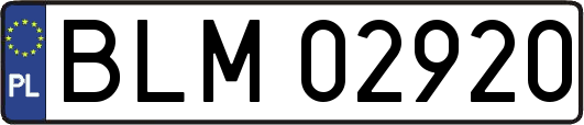 BLM02920