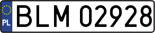 BLM02928