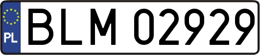 BLM02929