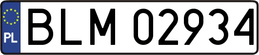 BLM02934