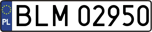 BLM02950