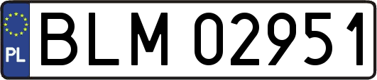 BLM02951