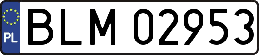 BLM02953