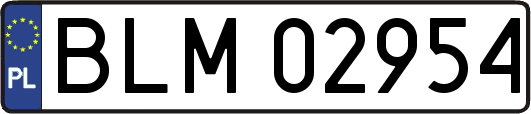 BLM02954