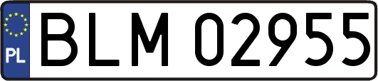 BLM02955