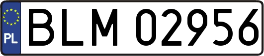 BLM02956