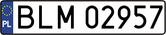 BLM02957