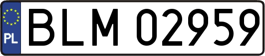 BLM02959