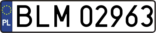 BLM02963