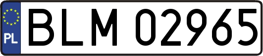 BLM02965