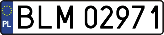 BLM02971
