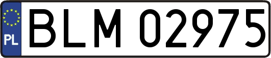 BLM02975