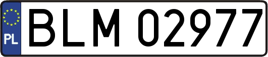 BLM02977