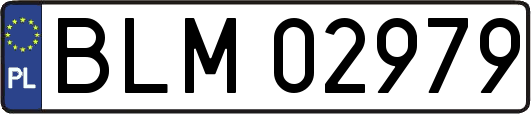 BLM02979