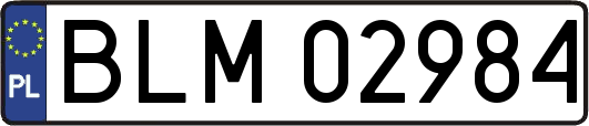 BLM02984