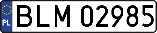 BLM02985