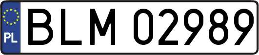 BLM02989