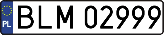 BLM02999