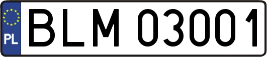 BLM03001