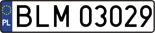 BLM03029