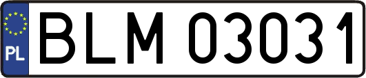 BLM03031