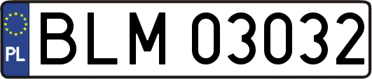 BLM03032