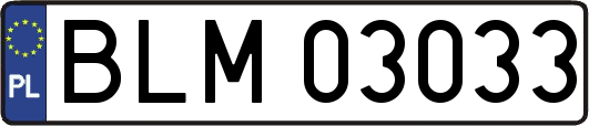 BLM03033