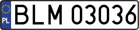 BLM03036