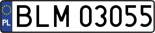 BLM03055