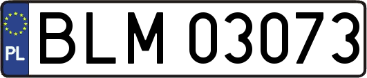 BLM03073