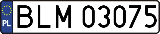 BLM03075