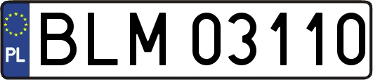 BLM03110