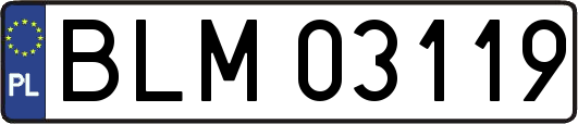 BLM03119