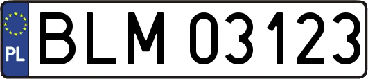 BLM03123