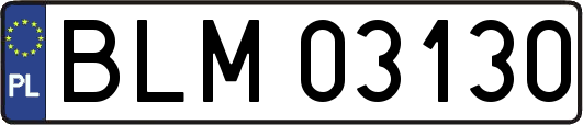 BLM03130