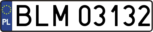 BLM03132