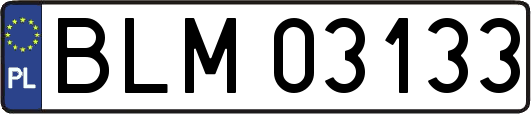 BLM03133