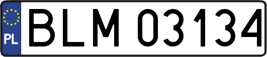BLM03134