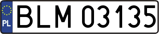 BLM03135